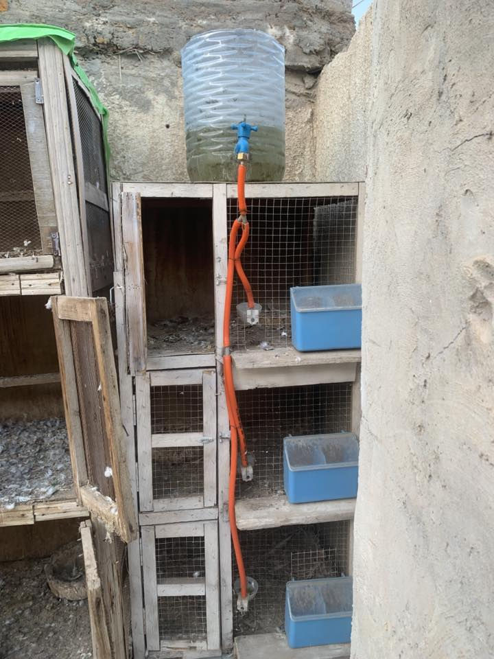 اعادة النشر بسبب ظروف المشتري
خانة ام الثلاثة عدد ٢ مع ملحقاتها معلف خارجي تاسيس طوافات سعر الوحدة ٢٥ الف للتواصل الاتصال ***********
