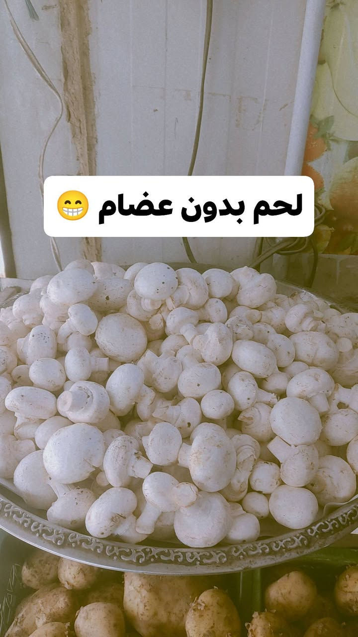 يا الله اللهم صل على محمد وال محمد 

نغيب نغيب ونرجع بشي اقوى وجديد 😁 

التشكيله المرتبة كدامكم ومسواك درجه اولى 

أحلى من الصوره عنوانه مقابيل مطعم إبن فرهود مجاور مركز الكفيل توصيل موجود لكافة أنحاء النعمانيه 

للاستفسار أكثر تفضل خاص أو الاتصال على الرقم

 ***********
