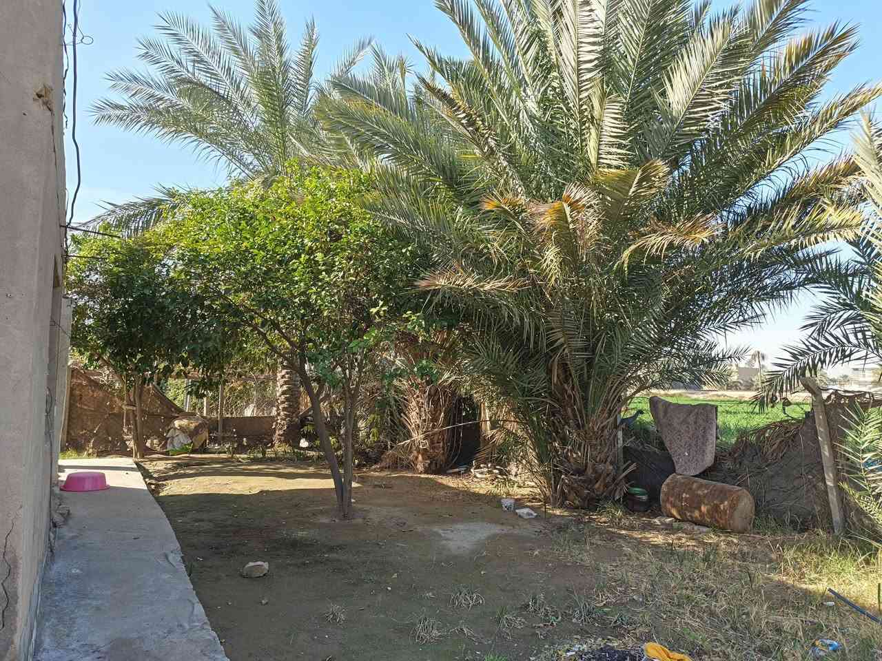 بيت للبيع العنوان حله ورديه داخل قرب  السكه الثانيه أو السايلو مساحه 650 واجهيه 32 سند 25&***********
