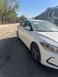 النتره • ٢٠١٧ • باب مصبوغ