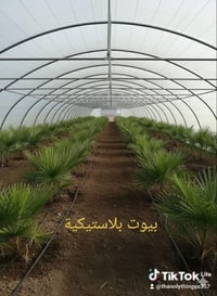 بيوت بلاستيكية • ٥٠ في ٩ • الديوانية