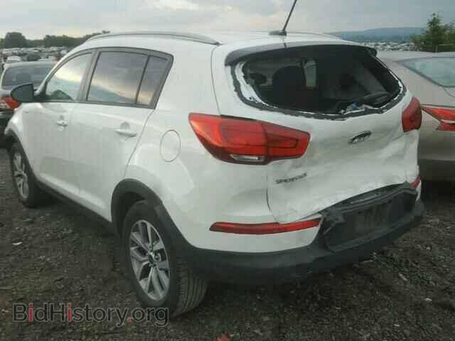 سبورتاج موديل 2016 
ماشيه 87 مايل 
لون ابيض ، وارد امريكي ،مكينه GDI 2400
مكفوله كفاله عامه من الصبغ والتبديل 
صور الضرر بامريكا موجوده بالمنشور 
رقم الهاتف : ***********
السعر 152 وبيه مجال
