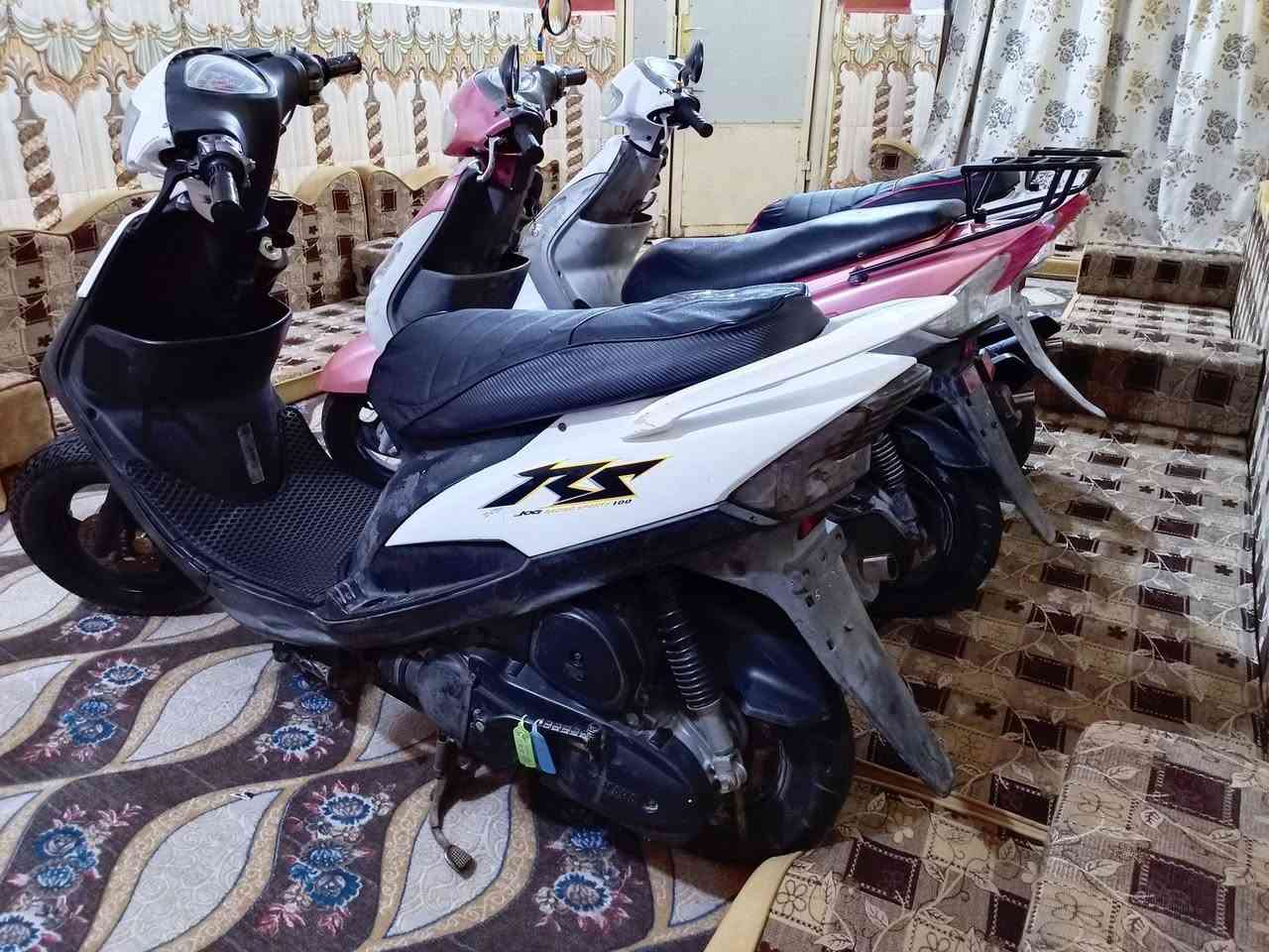 ماكسات منغولي 50 بلاد كامله اي نقص مابيهن ب550 وبيه مجال / ***********نتصال /وتساب
ناصريه مركز ❤️👆🏻
