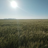 أرض واسط • مساحة حسب الطلب • ماء وكهرباء