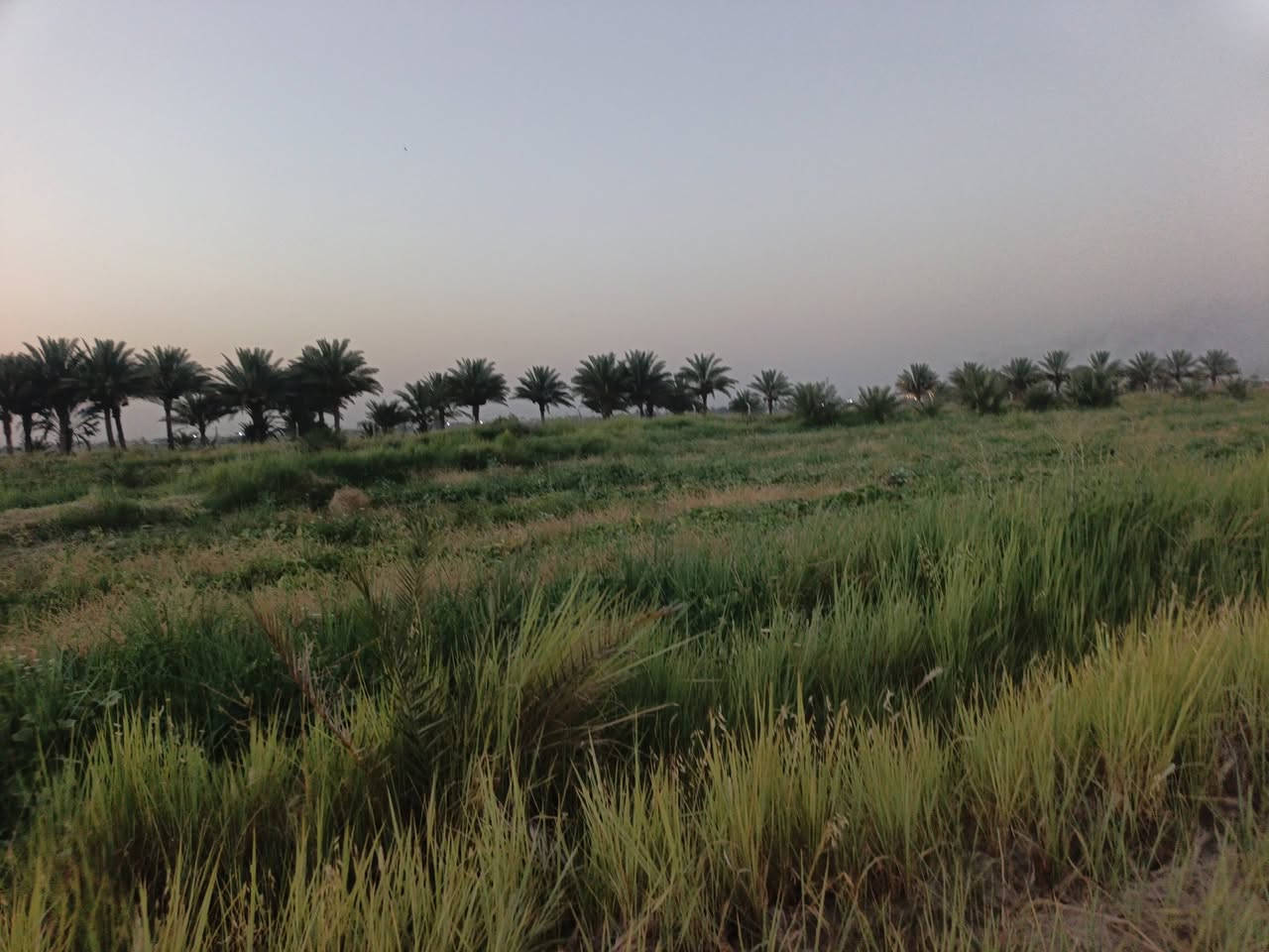 يالله توكلنا على الله
دونم للبيع طابو زراعي سند ٢٥ 
للاستفسار 
الاتصال على الأرقام التاليه 
***********  آسيا 

***********  أثير 

((  ***********)) هذا👉 فقط وات ساب وبخدمتكم
