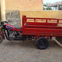 ستوته ٢٠١٤ • اوراق كاملة • ديالى