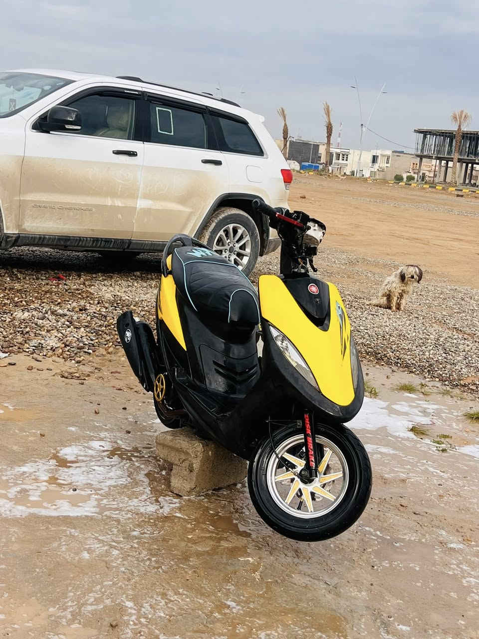 ماكس عدله 49للبيع


**إذا كنت صاحب هذا الإعلان وتريد حذفه لأي سبب، رجاءا أرسل رسالة إلى الدعم الفني**