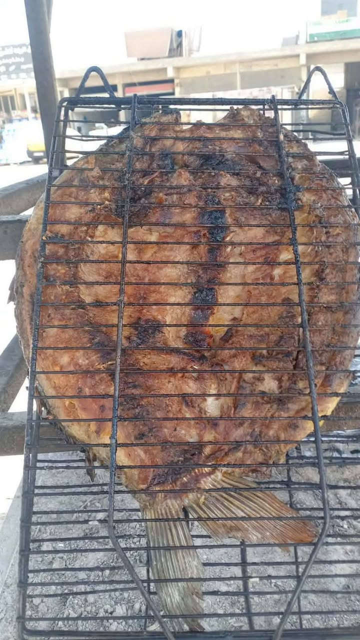سمك حي تازه يوصلكم ٥٥٠٠ 
سمك حي ودجاج حي مسكوف حار 
دجاج حي محلي ٣٥٠٠ ومتوفر مقطع 
توصيل سريع 
لحجز مراسه الصفحة أو الرقم 
***********

العنوان بسمايه الشارع العام
