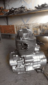 للبيع الواحد  ب١٠٠ على الفحص مكاني الحله ورديه خارج *********** واذا ثنينهن بيهن مجال
