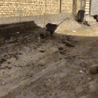 لباخ  اسمنت اجراره سقل لط  وشغل جص شغل درجه اوله لي يرضى الله والرزق ع...