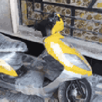 دراجة • نظيفه • بغداد البلديات