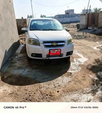 افيو • ٢٠١١ • واسط