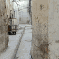 غاس الكوغ • ٧٥م • طابو باسم واحد