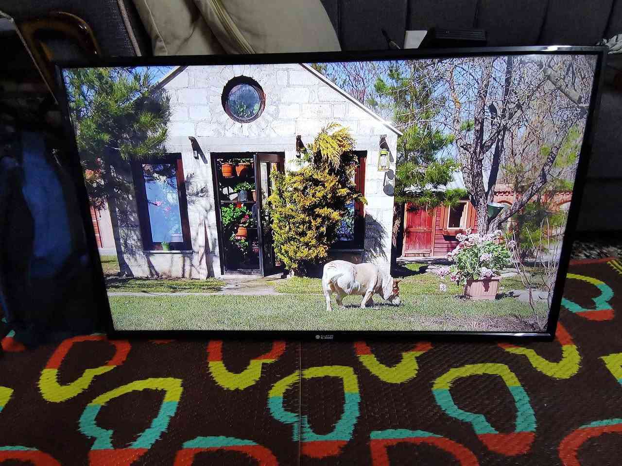 سلام عليكم عندي شاشه نوع الجي العربي الحجم 42 نضيف بدون نت السعر 130 الف مع ريموت جديد العنوان البياع حي الرساله الأولى قرب مدينة العاب الكرخ تلفون ***********
WhatsApp +964***********
