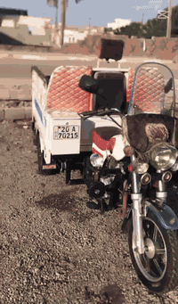 ستوتة للبيع أرقام وسنوية شرط تحولي هاذة رقم صاحبهة ***********
