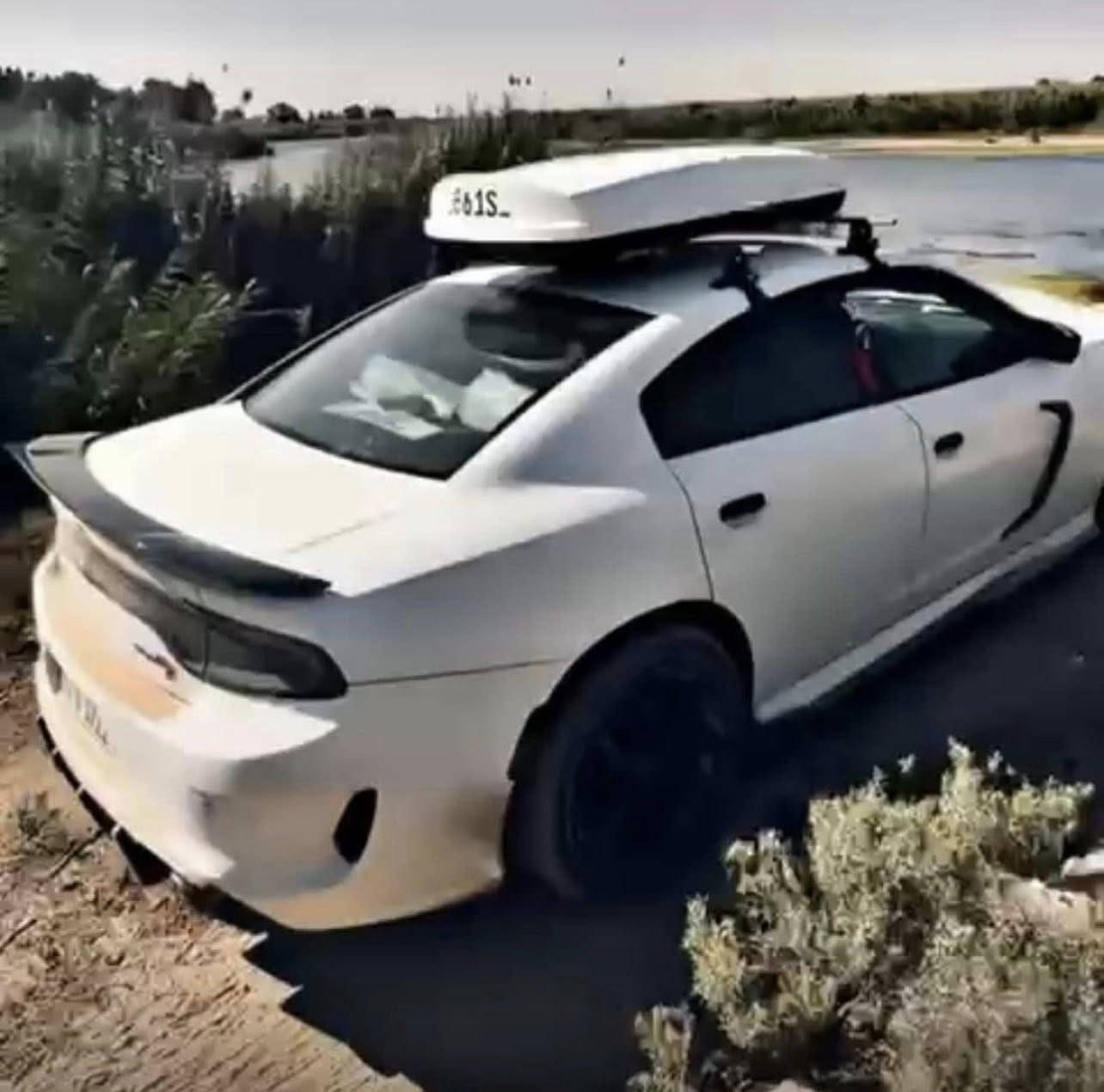 للبيع
بوكس سفاري الحجم الجبير  جوكر يرهم عل كل السيارات البوكس جديد ونضيف كلش رايده  ب250 الف مكاني البياع


**إذا كنت صاحب هذا الإعلان وتريد حذفه لأي سبب، رجاءا أرسل رسالة إلى الدعم الفني**