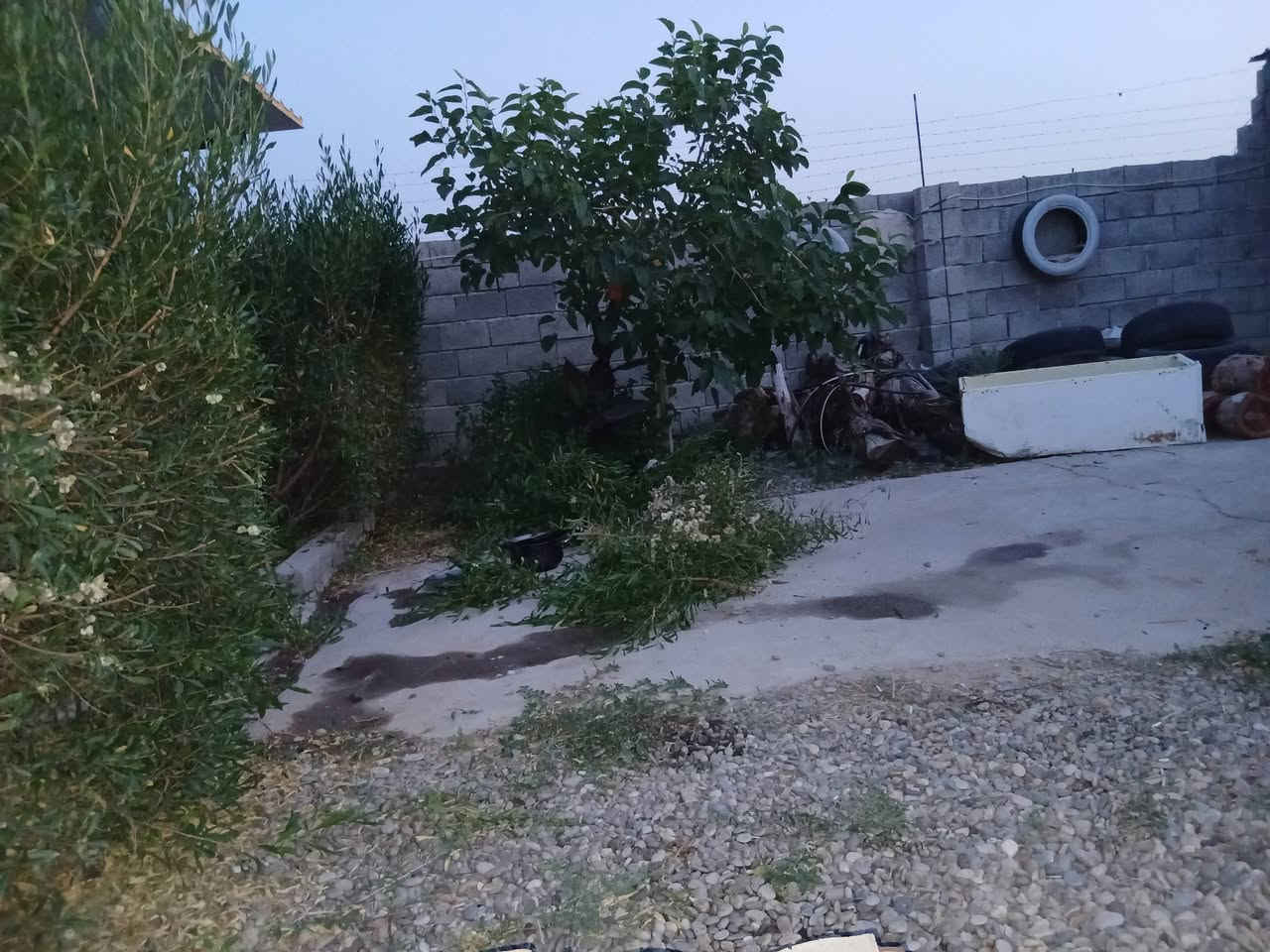 السلام عليكم
قطعة ارض زراعي للبيع
مزرعة بيها انواع الاشجار
العنوان خلف مستشفى الحسين
التفاصيل اتصل على الرقم
(***********)
