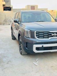 تيلورايد وارد امريكي • ٢٠٢٤ • بدون صبغ