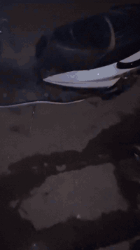 شبابنا الطيبه
شتريد ابيعلك من غراضها او مراوس ببلادي وفرق 
بيها ويل كب مشيف صدر كرزي فج كرزي ناقصه دسكات 
هاوزن كرزي كشن اصلي سبايدر تي ماكس يدات بريك اصلي 
قطره دهن برتقالي دبلات خلفي بطل اسود اصلي كلجات wf امامي خلفي ع شغل وكور حجرته 63 بصمه 
والأسعار معروفه  مكاني الامين لثانيه توصيل موجود كل محافظات العراق 
***********رصيد 
‏***********وتساب 

مامتواجد ع ماسنجر ♥️
