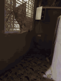 دار للبيع مساحه 50م 
طابو زراعي سند 25 تحويل مباشر 
بابل حي الكرامه قرب مكتب ياسر وتوت (بيع مستعجل )

طابقين.  3غرف نوم. 
الطابق الاول.    يحتوي 
غرفه نوم     هول.   مجمع صحيات.    مطبخ.    

الطابق الثاني 
غرفتين نوم.     بيتونه.    دار كامل ومرتب بناء حديث 

ملاحظه علما أن الدار مأجر بسعر 400الف 

السند موجود عندي حالياً.  بسم البايع حصراً 

***********
***********
