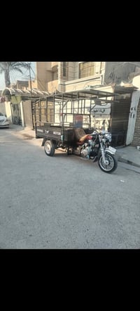 اخوتي وتاج راسي ...المواكب الحسينية في المعالف  اي موكب يحتاج الستوته ...