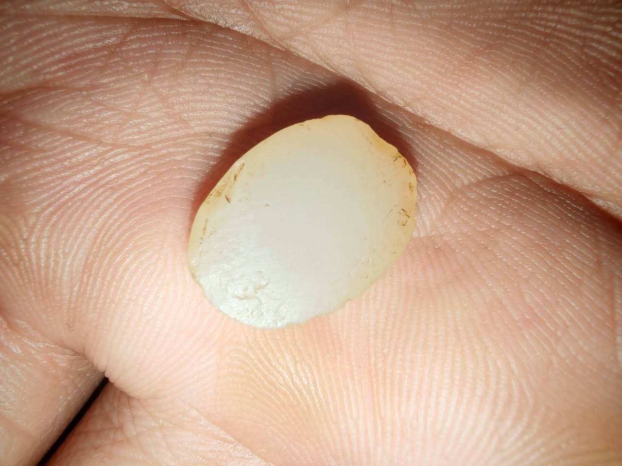 جزعه كوفيه العزة لله
استفسار على الرقم ***********
