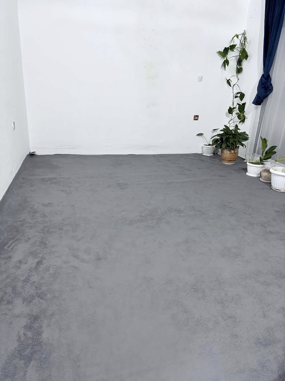 لە ڕانیە🌺🌺🌺


**إذا كنت صاحب هذا الإعلان وتريد حذفه لأي سبب، رجاءا أرسل رسالة إلى الدعم الفني**