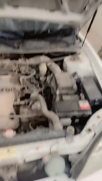 شيري استرا • ٢٠١٢ • رقم بغداد