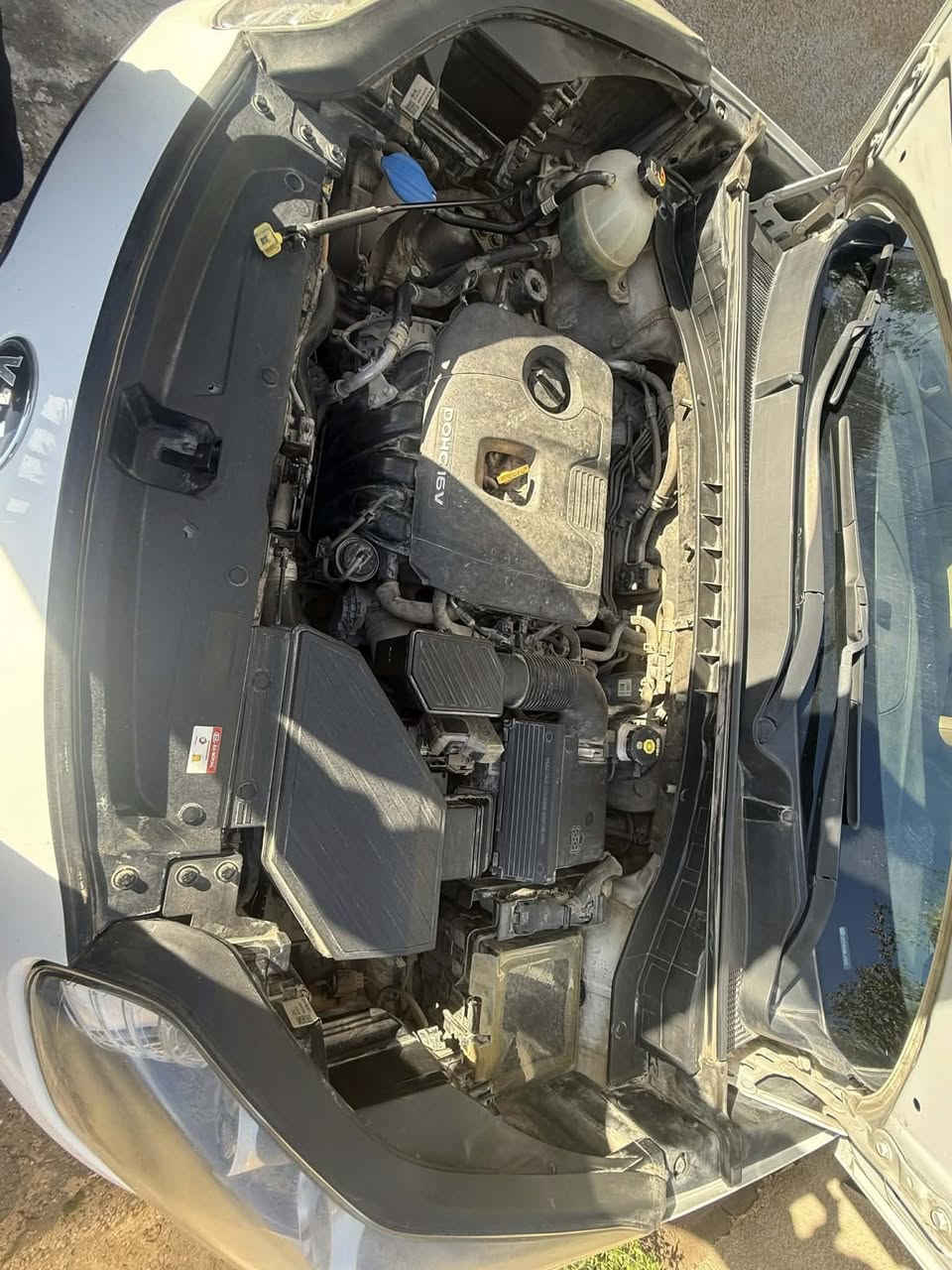 سلام عليكم سبورتج موديل 2019 خليجية فوول مواصفات
سيارة بانوراما مري شفط جنطة كهرباء بصمة تشغيل بصمة ابواب كشنات كهرباء هاندبريك بصمة حساس امامي خلفي داخل جلد بيجي لونين 

مكينة 2000 دوش مكفول كير مكفول 

ماشية 67الف كيلو 

سيارة بحالة وكالة 

الكشر مكفول كفالة عامة 

مكان بغداد الكرخ 

سعر 197 بيها مجال بسيط 

***********
