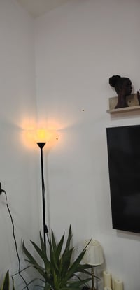 تيبل لام • انكو أسترالي • جديد