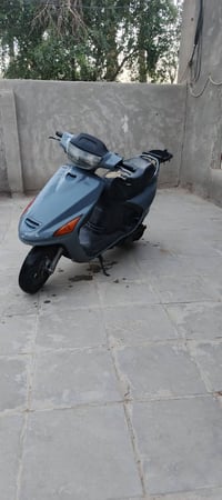 فراشه • فحل • نضيفه