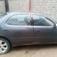 الجبايش • صاحبها • بيها مجال