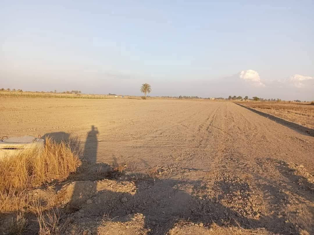 عرض مميز الجميع من يرغوبن في شراء الاراضي الزراعية 
8دونم منطقة الشيخ عامر بغداد التاجي مقابل سبع البور
جنس الأرض طابو زراعي سند 25 ثاني يوم افتحلك بيان
جه الدونم 50 متر ونزال 50  مربع 
السعر الدونم 30 مليون وقابل للتفاوض
خدمات كامله كهرباء ماء اساله سقي سكن مدارس كلشي  وابيع دونم ماكو مشكله
للاتصال والاستفسار =***********يتوفر واتساب
