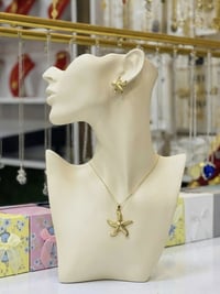 بنترست سيت • طلاء ثابت • الاسكندرية