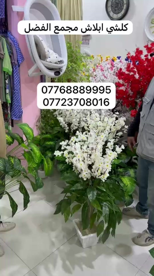 العنوان العرضات قرب شوون المراه 


**إذا كنت صاحب هذا الإعلان وتريد حذفه لأي سبب، رجاءا أرسل رسالة إلى الدعم الفني**