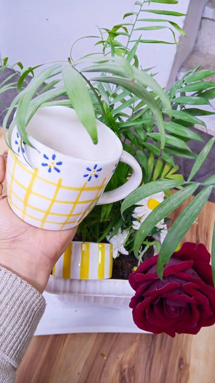 عرض على الفين ونص فقط


**إذا كنت صاحب هذا الإعلان وتريد حذفه لأي سبب، رجاءا أرسل رسالة إلى الدعم الفني**