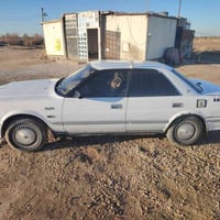 هارتو • موديل ٩١ • نص عمر