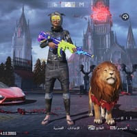 حساب تيك توك • ربطه نضيف • واسط الاحرار