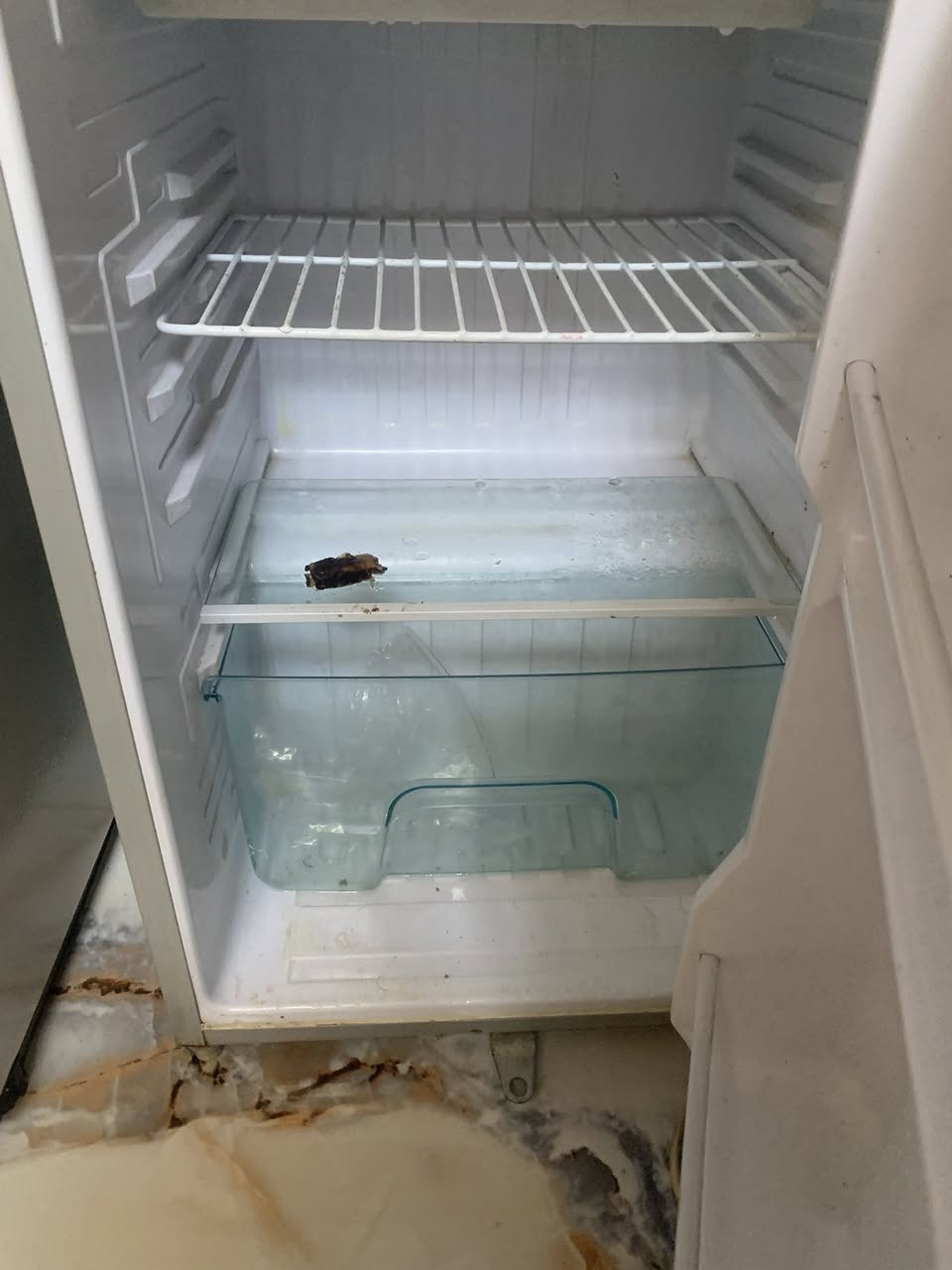 سلام عليكم ثلاجه صغيره للبيع حجم 5قدم نضيفه وع الفحص تبريد وتجميد تخبل سعرها 80وبيها مجال بسيط مكاني الغزاليه شارع البداله ***********
