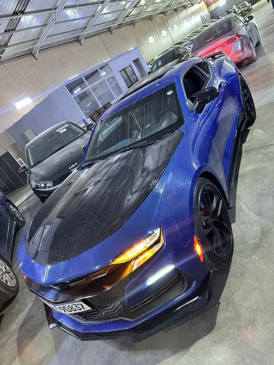 بدون مراوس بيع نقد كاش فقط  ) موديل 2023

فدشي مميز …كمارو  RS فول مواصفات

رقم للاستفسار *********** واتس او اتصال

سعر السيارة / 179$ ورقة مجال معاملة بسيط جدا 

🟩 موقع السيارة أربيل  *********** واتس 

              مرقم سيارة رقم جديد  

*اللون مميز بحري

*مكينه 3600 6 سلندر  LT1 مواصفات RS

سيارة مزودة بجمال السبيدرات وتأثيرات خارجية للتجميل 

—————————-

*موديل 2023 

*ماشيه 10 آلف mil

*مواصفات.. 

فتحة سلايت سقف

*ابل كار بلي

*هاند بريك بصمه

*تشغيل عن بعد 

3وضعيات قيادة 

*ابواب بصمه

*مثبت سرعه

*كشن كهربائي

*دعاميه zl1

*سبويلر zl1

*ويل 20

*شفتات بالستيرن تحكم ستيرن 

*كامره خلفية 

(ضرر السياره فقط بونيد وجاملغين مبدل بفايبر لون اسود )

(سيارة بيها جمال جدا راقي ) 

سيارة نضيفه كلش ومناقصها اي شي  

مكان السيارة بأربيل 

 يتوفر نضام تقسيط بمقدمة لاتقل عن 120$ ورقة 

التعامل على سعر واحد أما قسط أو نقد وشكرا 

رقم للاستفسار واتس أو اتصال.  ***********
