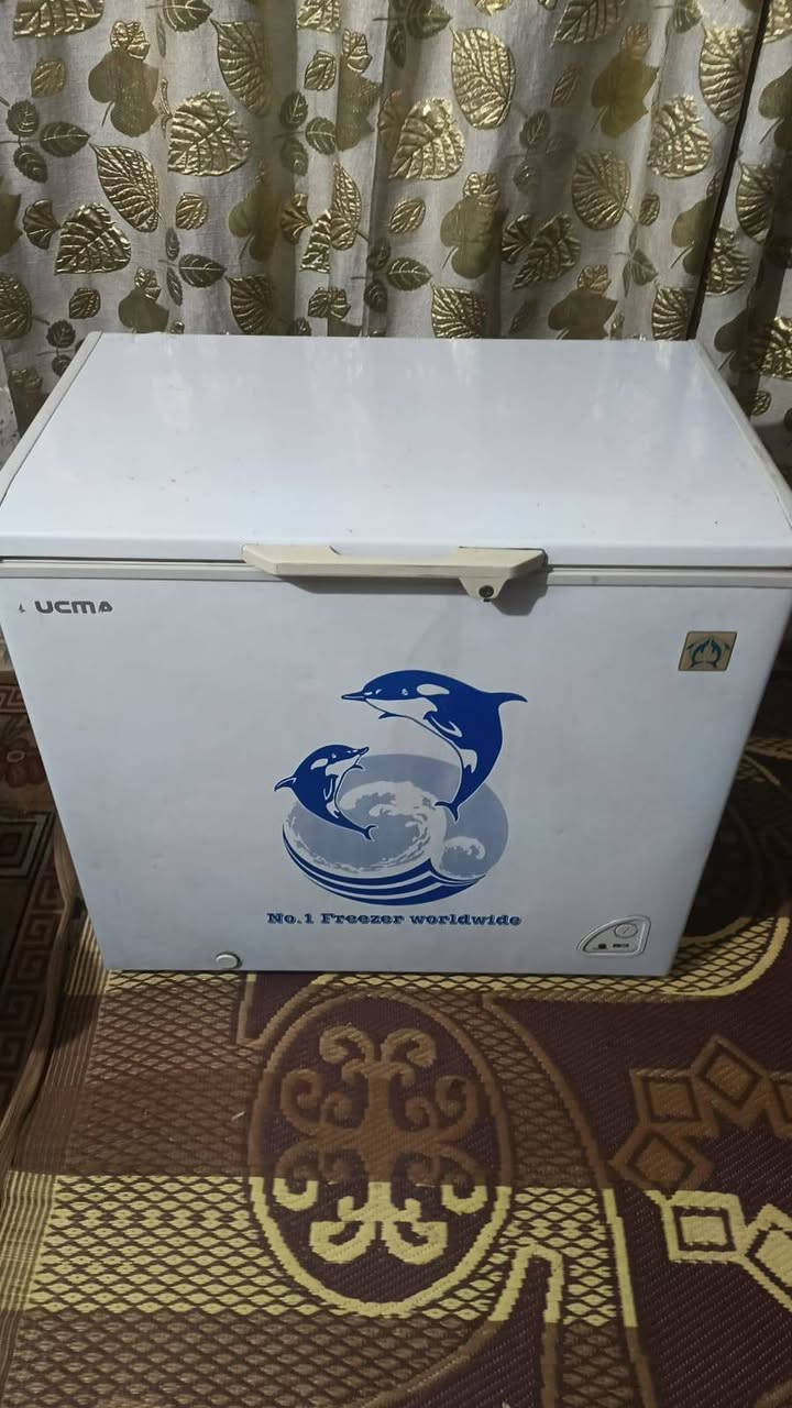 اغراض مستخدمه ونظيفه وشغاله على الفحص مكانهم بغداد يوجد توصيل🛻🛻 بكروه داخل بغداد الشراي يسحب الصوره ويتواصل على الواتساب فقط غير متواجد على الفيس ***********
