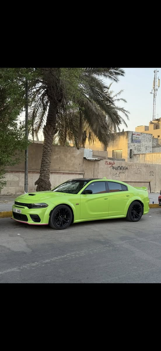 جارجر سكات باك وايد بدي أصل 2023 Last call
لون تفاحي مميز للبيع :

ماشيه 19500 ميل بالعراق فقط 4500
السياره رادار أمامي وباقي المواصفات المعروفه عدى الفتحه
عليها هدرز وبرمجه من امريكا +500hp
وسقف روز

رقم بغداد مميز على حجم المحرك (6400) سعره 7500$

السياره بدون ايرباك
حادثها خلفي جنطه وجاملغ خلفي عكس السايق صبغ
+ السياره مرشوشه اربع قطع كلير من امريكا (كلير نظيف) وتكدر توكع الكلير لان نظيف واثر شخوط خفيفه
السياره ابيعها ويا الرقم او بدون 

للتواصل : ***********
