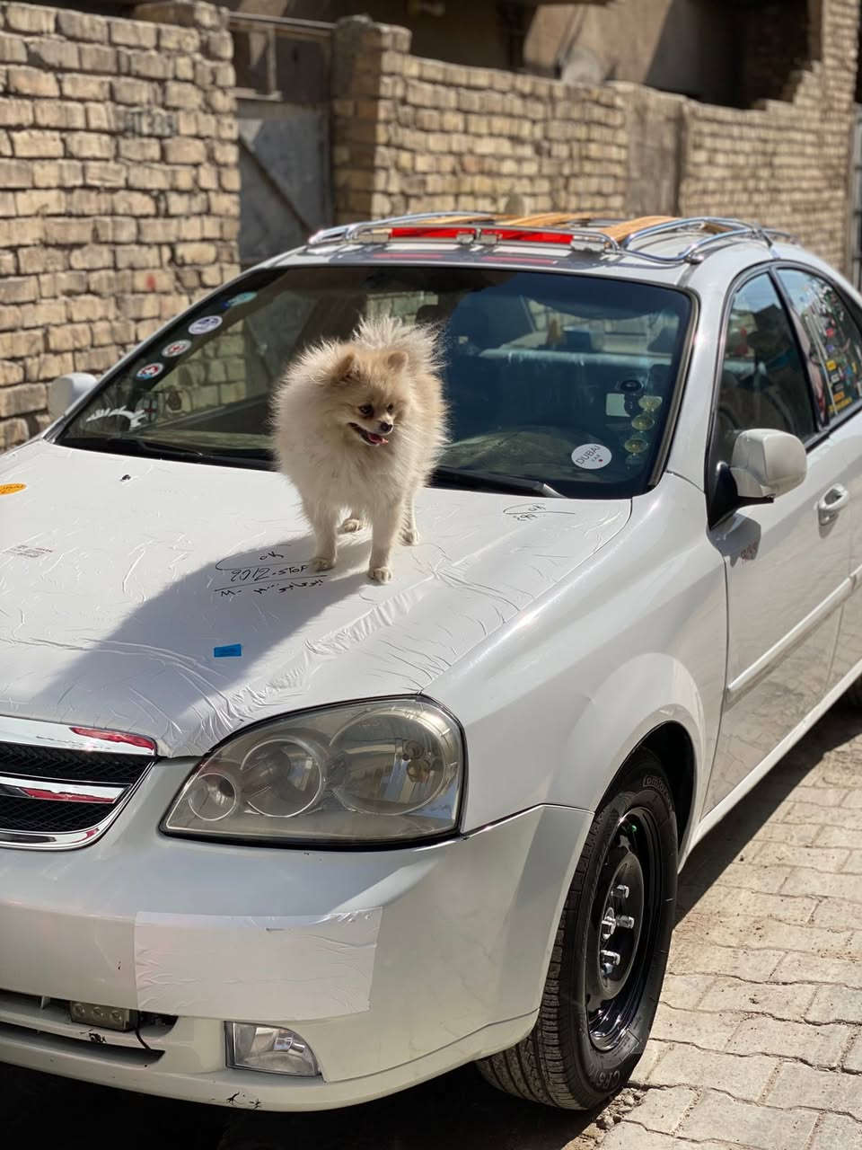 اوبترا ٢٠١٢ للمراوس بكمارو أو موستنك مكاني بغداد شعدك راسلني خاص او واتساب ***********
