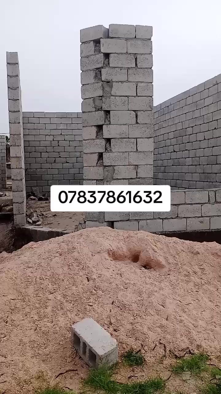 ترهم مراوس بسيارة
