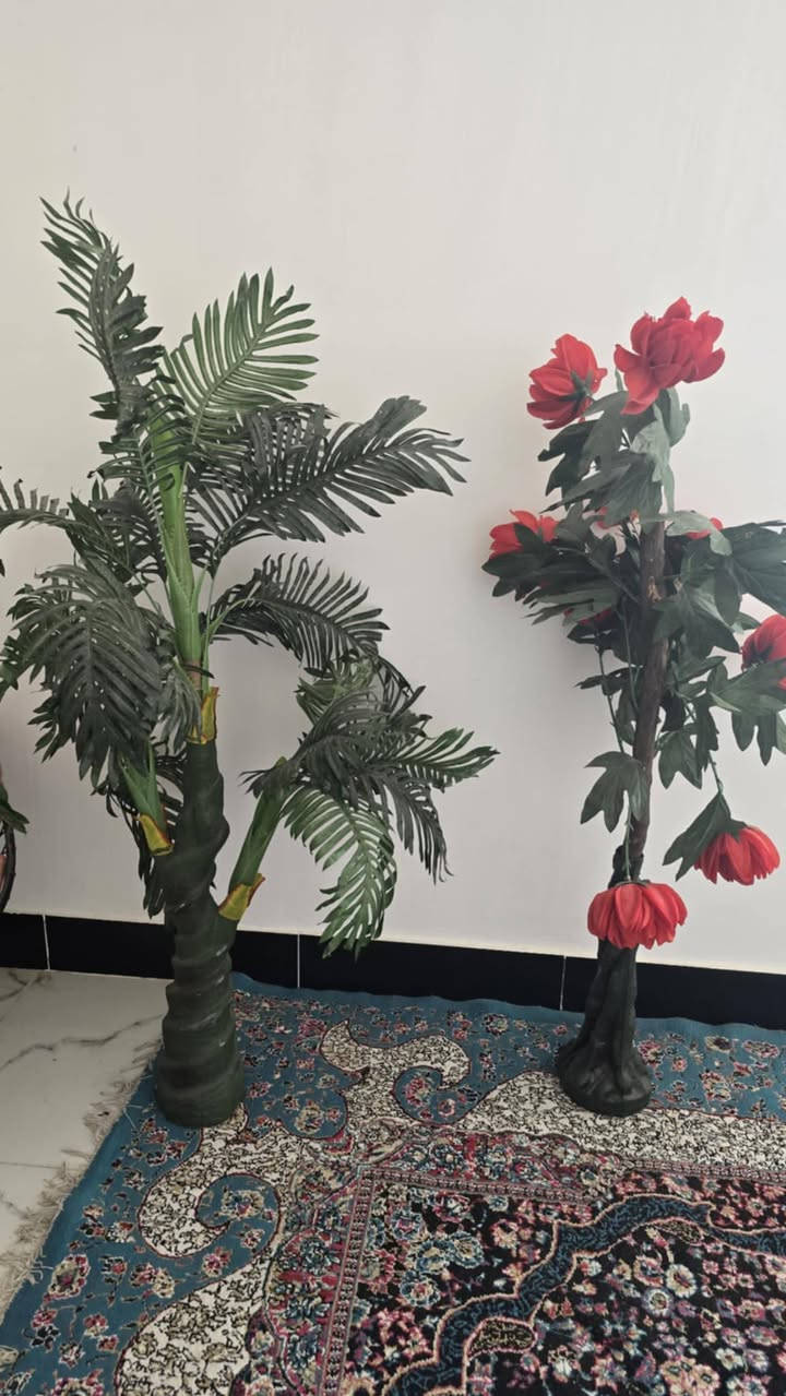 كولهن للبيع مكانهن بابل المسيب حي المصطفى 
اسعار مناسبة اليدور مال ميت اهلة لايدخل خاص ولا ايعلق رحمة الموتاكم 
وعدهم بعد زوالي على 10 و 15 ثكال وجدد استعمال موسم واحد مستعجلين على البيعة 
لايك للمنشور رحمة الموتاكم


**إذا كنت صاحب هذا الإعلان وتريد حذفه لأي سبب، رجاءا أرسل رسالة إلى الدعم الفني**