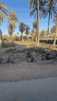 للبيع ارض مساحه 1250متر طابو زراعي سند 25كافه الخدمات صالحه لمزرعه واجه 17ونص ع تبليط تبعد عن جدول النيل 100متر وتبعد ع شارع النيل القديم 800متر باليرغب بالشراء اتصال ***********
