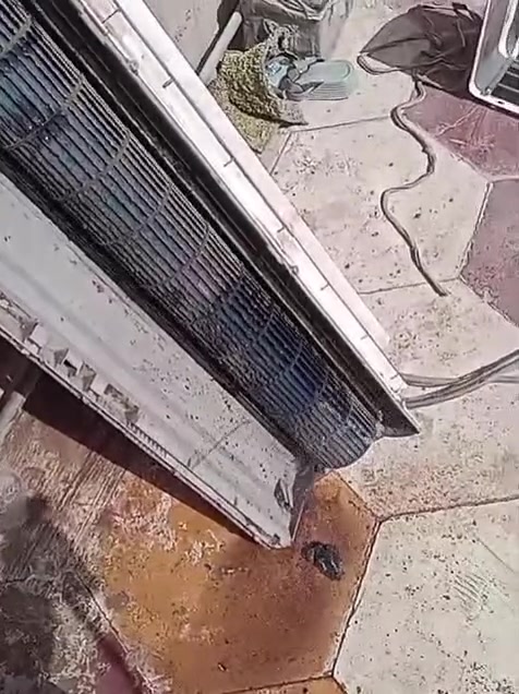 العمل مجاني للعوائل المتعففه والايتام❄️ صيفك بارد مع ورشة  المتنقلة في الديوانيه! ❄️️
شمس الديوانيه ما ترحم؟ ☀️ والسبلت مالتك تعب؟ لا تشيل هم! إحنا جيرانك وبالخدمة 🫡
عندك سبلت ❄️❄️ مايبرد صار بي ليك تحتاج غسل تحتاج صيانة بعد لا تروح ولا تجي ولا تفتح ولا تتعب 😳
😍صارت الصيانة 🛠داخل بيتك🏘️ وكدام عينك والي يرضيك ونطلع منك وانته راضي👍🏻 
1️⃣نصب جميع انواع السبالت الضاهري والدفن بايب
2️⃣شحن غاز اصلي بضمان 🔖
3️⃣ تصليح كافة أنواع السبالت (كنتوري، جداري).
4️⃣.تنزل السبالت للكاع كدام عينك 
5️⃣غسل وتنضيف اجهزه التبريد والتكييف 🚿
6️⃣الغاء مجمع التدفئه بحرفية وبضمان 
7️⃣تبديل كابسترات وكونتكترات 
8️⃣تصليح الكارت
.ضمان موسم كامل على  جوده العمل،❄️👍🏻
للاستفسار الاتصال او المراسلة على الواتساب 
***********
***********

العمل مجاني للعوائل المتعففه والايتام❄️ صيفك بارد مع 🫣ورشه بركات الحسين 🙂‍↔️ المتنقلة في الديوانيه! ❄️️
