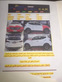 سنتافيا • ٢٠١٧ • رقم بابل