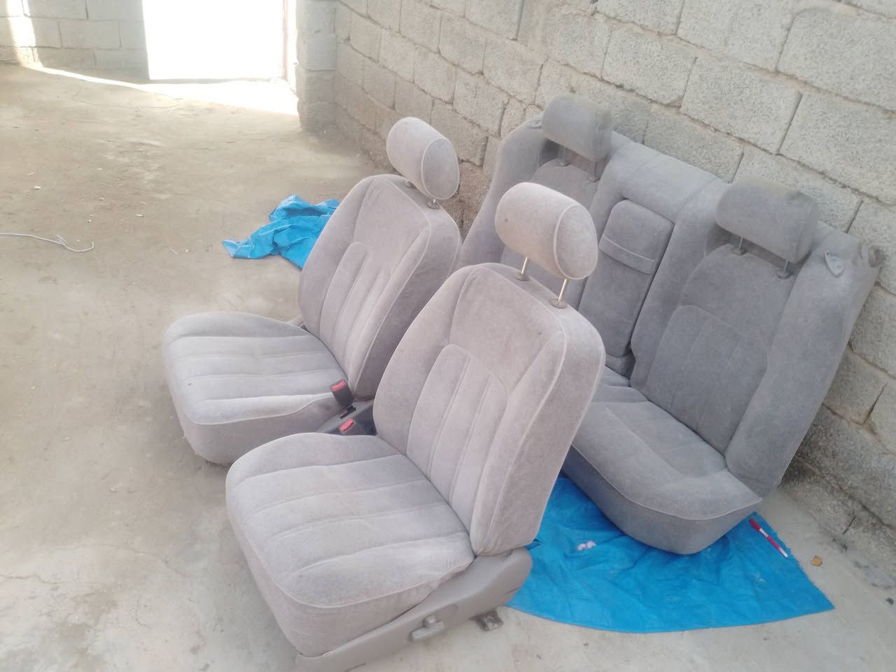 للبيع مال راس ثور نضاف 175كلهن قفل مكانهن شطره ***********
