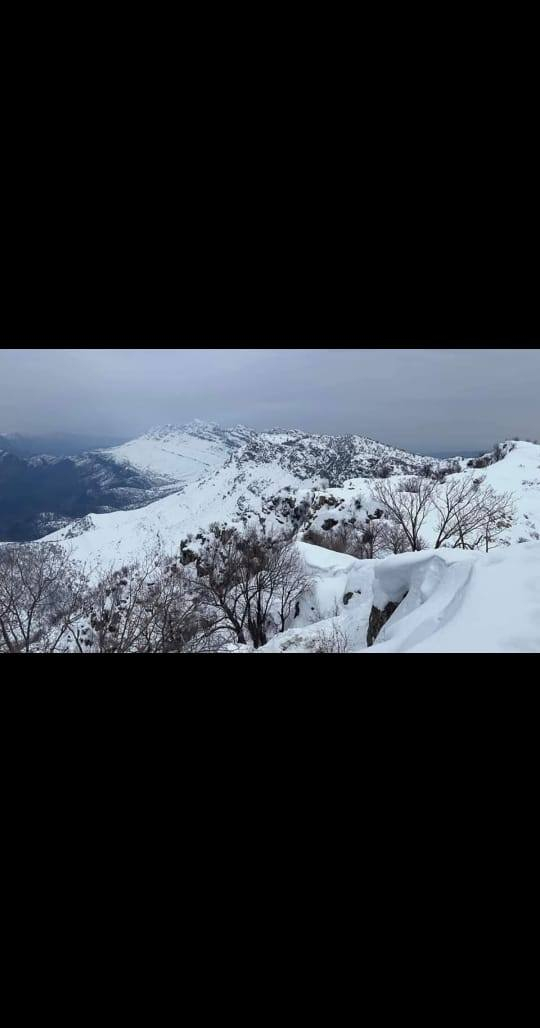 الثلج ويه لؤلؤة البحر غير 
🎡 🎡 احجز ب لؤلؤ البحر
والباقي علينه 💪
🚫🚫   انتبه السعر على حساب الجودة  
🔷سليمانيه 🔷 اربيل 🔷دهوك
————🔹🔸🔹🔸✈️🔸🔹🔸🔹————
#السليمانيه الانطلاق يوم الخميس 3 أيــام بـ 60 الف
 جديدنا:(جبال باسنايا الثلجية_كازينوات سرجنار_مصيف ئارا  ) 
الانطلاق ساعه 7 صباحا 
اليوم الاول : الانطلاق صباحا بال 7 بالمنشأت والذهاب الى سد دوكان مرورا من أربيل وتناول الغداء في دوكان ومن ثم النزول للبحيره والتمتع بالأجواء ثم الذهاب الى الفندق واستلام الغرف وفي المساء التوجه الى جافي لاند سليمانيه أكبر مدينه ألعاب في الشرق الأوسط والأستمتاع بالأجواء والصعود بال تلفرك والذهاب الى قمه جبل أزمر في جافي لاند
ومن ثم الذهاب الى فاملي مول (اكبر مول باقليم كردستان )ومن ثم العودة الى الفندق 

اليوم الثاني :بعد الفطور التوجه الى جبال باسنايا الثلجية بالكوسترات مرورا من نفق سيتك والتوجه الى المطعم في منطقه سيتك والغداء ومن ثم الذهاب الى المسرح الروماني ومن ثم الذهاب الى سوق مولوي الشهير ( اختياري وقت مفتوح)في السليمانيه وفي المساء التوجه الى بارك ازادي مدينة العاب السليمانية القديمة ومن ثم التوجه الى كازينوات سرچنار ومن ثم العودة الى الفندق

اليوم الثالث :بعد الفطور التوجه إلى مصيف وشلال جمي ريزان ومن ثم التوجه الى أربيل وتناول الغداء في مطعم ايس دي ومن ثم التوجه الى مجدي مول أربيل وبعدها الرجوع الى الموصل الحبيبة 
للمصداقية:السعر يشمل الاقامه والفندق والفطور الصباحي والجولات السياحيه فنادق ممتازه اما الدخوليات الأماكن السياحيه ع نفقه المسافر
♦️♦️♦️♦️♦️🟠🟠🟠🟠♦️♦️♦️♦️♦️♦️♦️♦️ 
#_اربيل_يوم_واحد_داخل 7000
♦️سوق القلعه
♦️مجدي مول
♦️قاعه تزلج
♦️مطعم
♦️بارك شاندر
♦️مدينه العاب ماجدي لاند
♦️كراند مول
♦️♦️♦️♦️♦️🟠🟠🟠🟠♦️♦️♦️♦️♦️♦️♦️♦️ 

#_دهوك_جبل_كاره_الثلجي 10 الف
♦️الصعود الى قمه جبل كاره الثلجي 
♦️اسطنبول مول
♦️مطعم
♦️مدينه العاب دريم ستي
♦️حديقه الحيوانات
♦️فاملي مول كارفور

♦️♦️♦️♦️♦️🟠🟠🟠🟠♦️♦️♦️♦️♦️♦️♦️♦️ 

#_اربيل_مصايف_وثلج 10 الف
♦️جبل جاج عمران
♦️مطعم
♦️مدينه العاب
♦️شنكل بانه
♦️مصيف كلي علي بيك
🔷ملاحظه ذهاب الى  الحاج عمران الثلجي على حساب المسافر
♦️♦️♦️♦️♦️🟠🟠🟠🟠♦️♦️♦️♦️♦️♦️♦️♦️ 

#_اربيل_يومين 30 الف

♦️جبل حاج عمران الثلجي
♦️مطعم
♦️شلال كلي علي بك 
♦️مصيف وشلال بيخال
♦️منتجع شنكل بأنه 
♦️سوق شقلاوه 
♦️سوق القلعة
♦️قاعة التزلج 
♦️مجدي مول 
♦️مطعم 
♦️مجدي لاند      
----------------------------
☎️للحجز والاستفسار الاتصال
‏‪***********
***********
